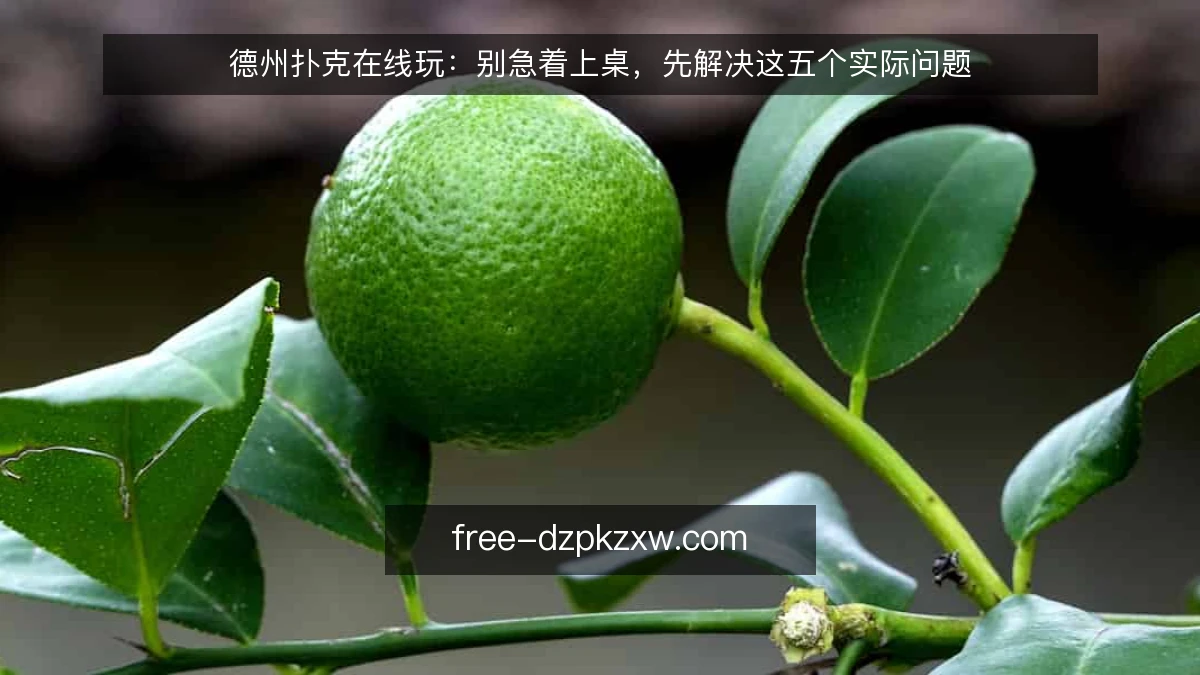 德州扑克在线玩：别急着上桌，先解决这五个实际问题