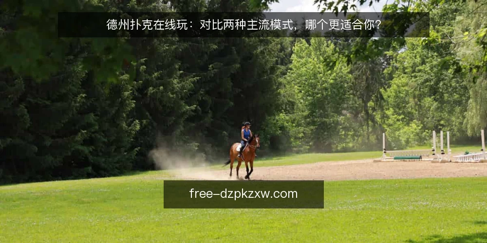德州扑克在线玩:对比两种主流模式,哪个更适合你? — 先定标准:用三个维度衡量两种模式 配图